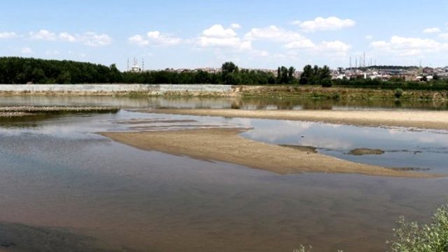 Bulgaristan'da Meriç Nehri'nden su içen ineklerin telef olduğu iddiası üzerine Türkiye harekete geçti