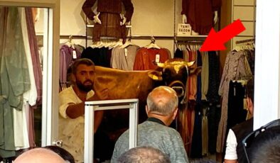 Bursa’da sahibinin elinden kaçarak giyim mağazasına dalan kurbanlık boğa, büyük korku ve panik yaşattı