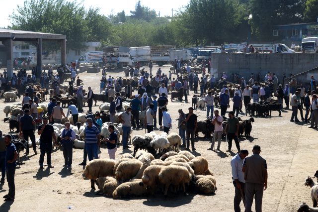 Diyarbakır'daki kurbanlık pazarlarında tedbirler hiçe sayıldı
