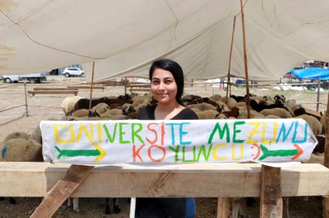 Derya, 'Üniversite mezunu koyuncu' afişi ile kurbanlık satıyor