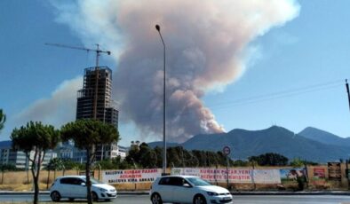 İzmir’de büyük orman yangını! Dumanlar şehirden görülüyor