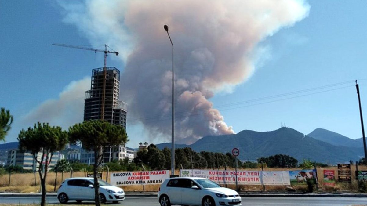 İzmir’de büyük orman yangını! Dumanlar şehirden görülüyor