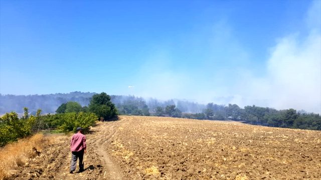 Son dakika: Çanakkale Kemel köyü yakınlarında orman yangını çıktı