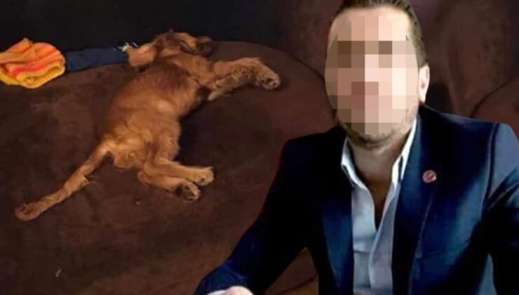 Sosyal medyayı ayağa kaldıran olay! Kendisine emanet edilen köpeği tecavüz ederek öldürdü