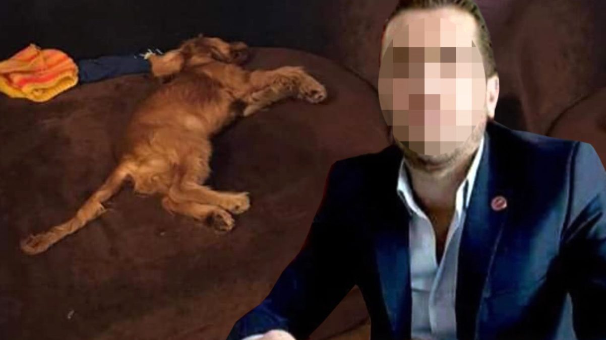 Sosyal medyayı ayağa kaldıran olay! Kendisine emanet edilen köpeği tecavüz ederek öldürdü