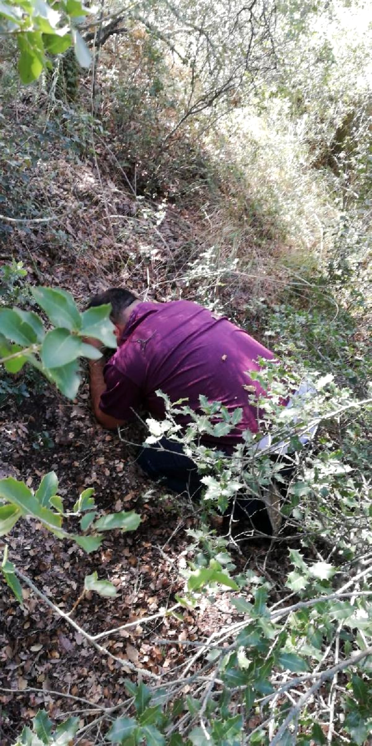 1 yıldır ormanlık alanlarda saklanan şüpheli JASAT ekiplerince yakalandı