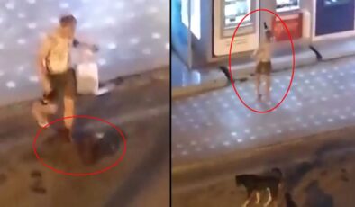 Alkollü turist, önce ATM’yi sonra sokak köpeğini tekmeledi