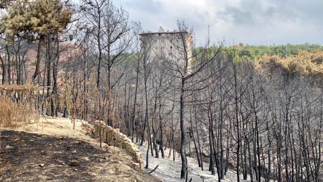Başkan Gül: 'Hatay yangını terör eylemi'