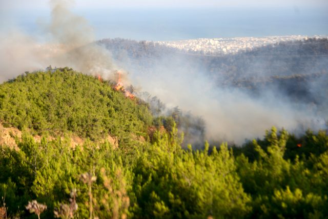 Son Dakika: Hatay'daki orman yangınları tam olarak kontrol altına alındı