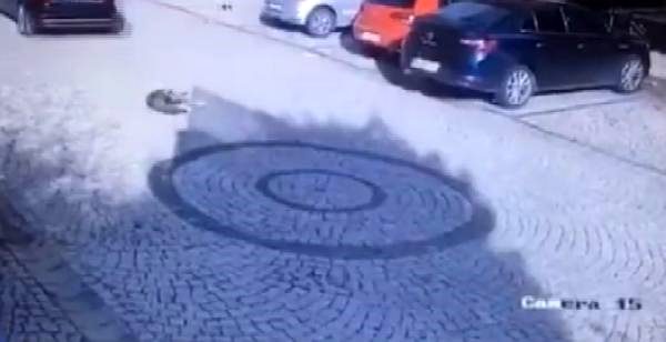 Zekeriyaköy'de sürücü yolda yatan köpeği ezdi
