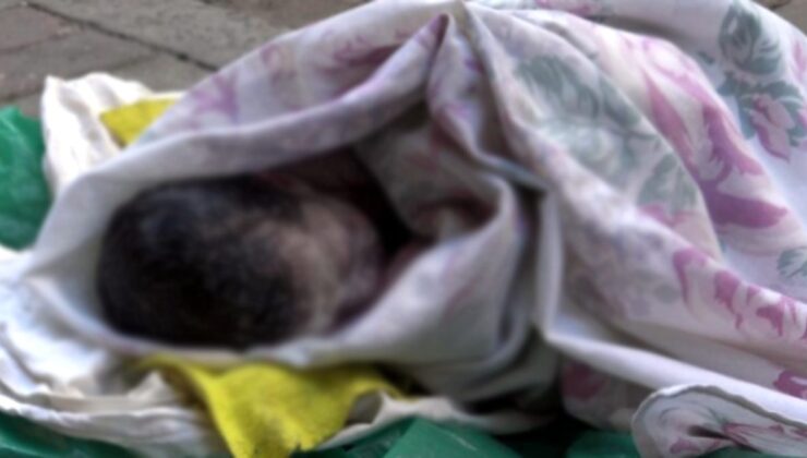 14 yaşındaki kız çocuğu, doğurduğu bebeği derin dondurucuya attı