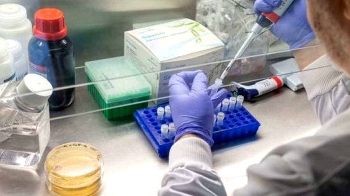 ABD’li ilaç devi Moderna, geliştirdiği koronavirüs aşısını piyasaya sürmeye hazırlanıyor