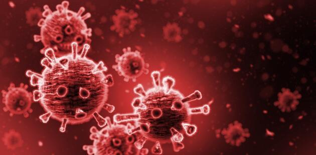 Çin'de yeni araştırma: Yarasalarda COVID-19'a benzer ikinci virüs bulundu