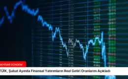 TÜİK, Şubat Ayında Finansal Yatırımların Reel Getiri Oranlarını Açıkladı