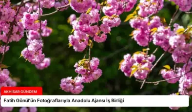 Fatih Gönül’ün Fotoğraflarıyla Anadolu Ajansı İş Birliği