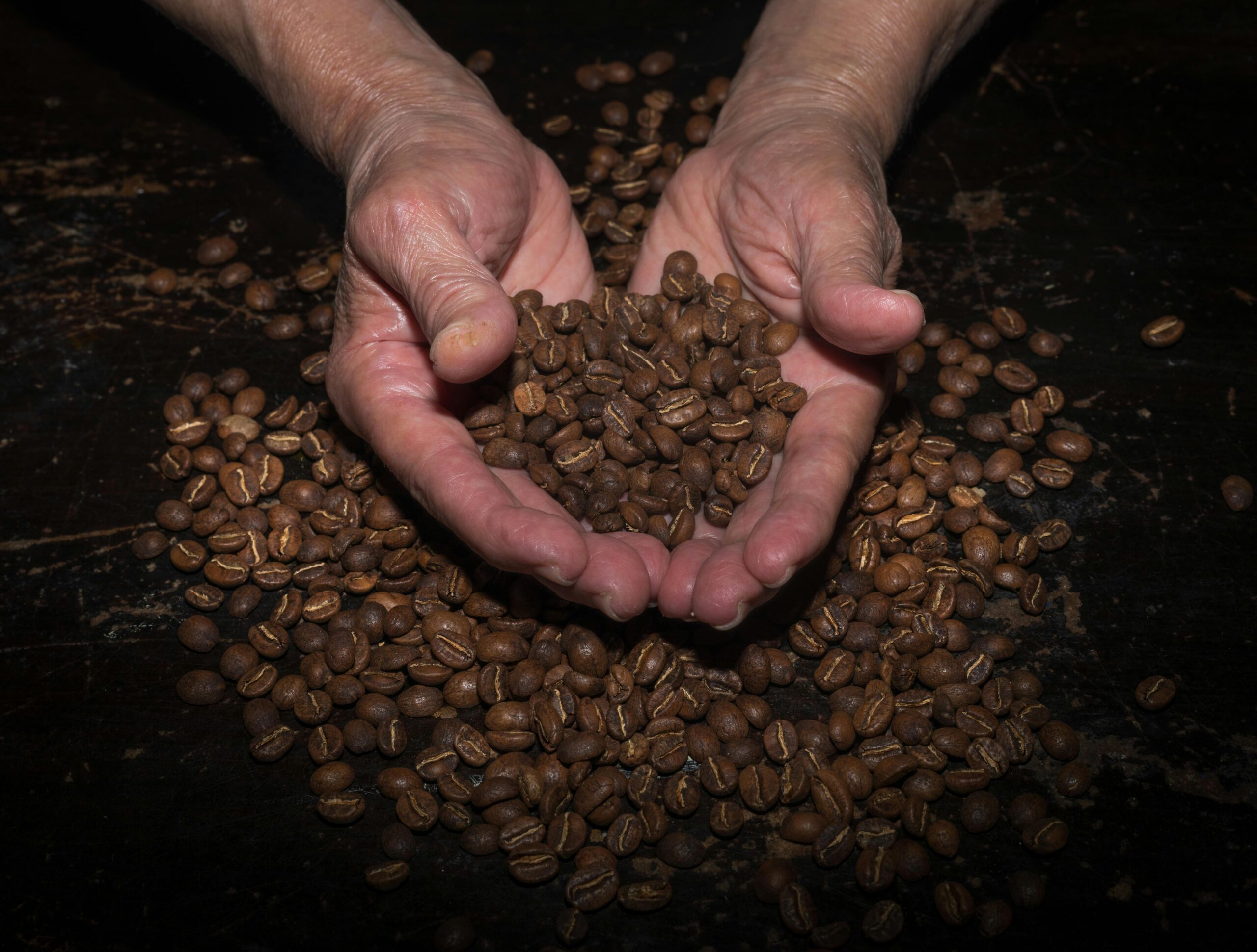 Brezilya Kahvesi Neden Bu Kadar Çok Tercih Ediliyor?
