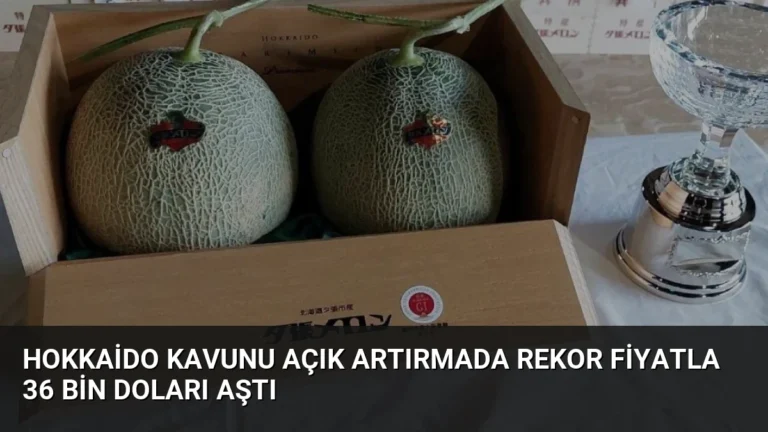 Hokkaido Kavunu Açık Artırmada Rekor Fiyatla 36 Bin Doları Aştı