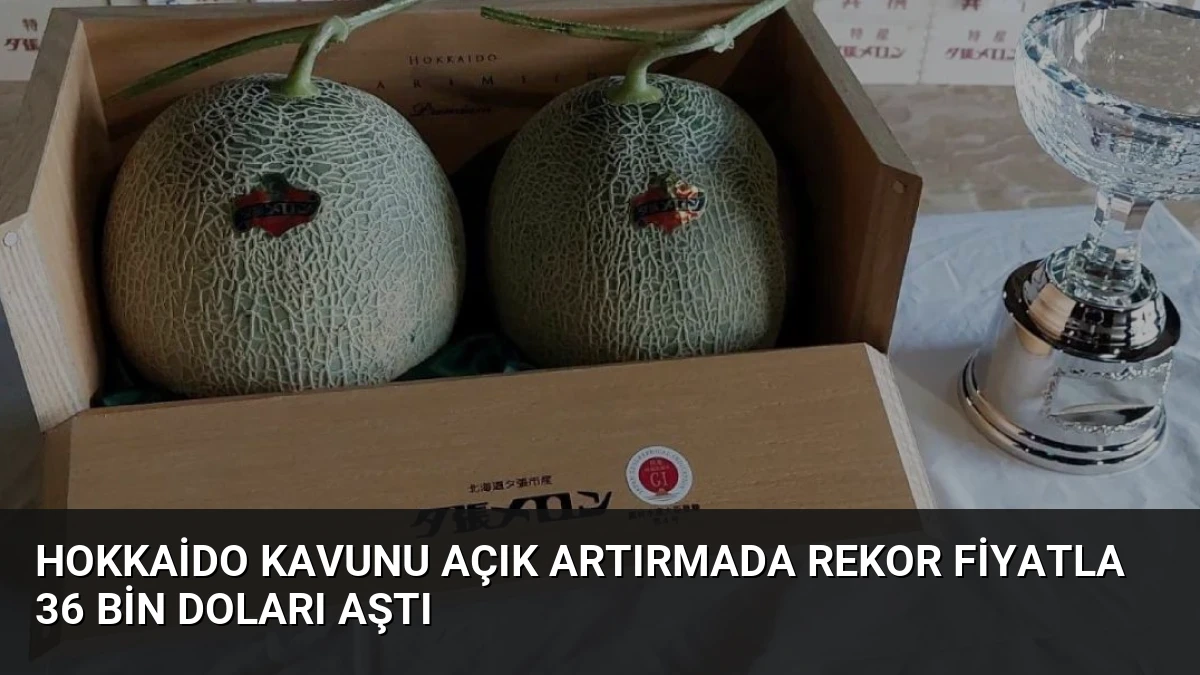 Hokkaido Kavunu Açık Artırmada Rekor Fiyatla 36 Bin Doları Aştı