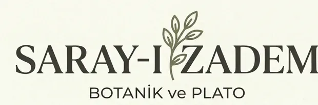 MODERN YAŞAMIN PARÇASI: SALON & OFİS BİTKİLERİ