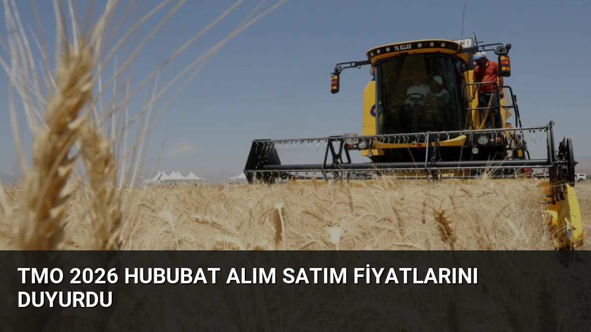 TMO 2026 Hububat Alım Satım Fiyatlarını Duyurdu