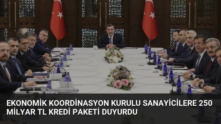 Ekonomik Koordinasyon Kurulu Sanayicilere 250 Milyar TL Kredi Paketi Duyurdu