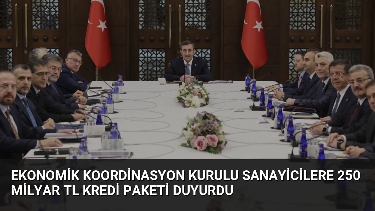 Ekonomik Koordinasyon Kurulu Sanayicilere 250 Milyar TL Kredi Paketi Duyurdu