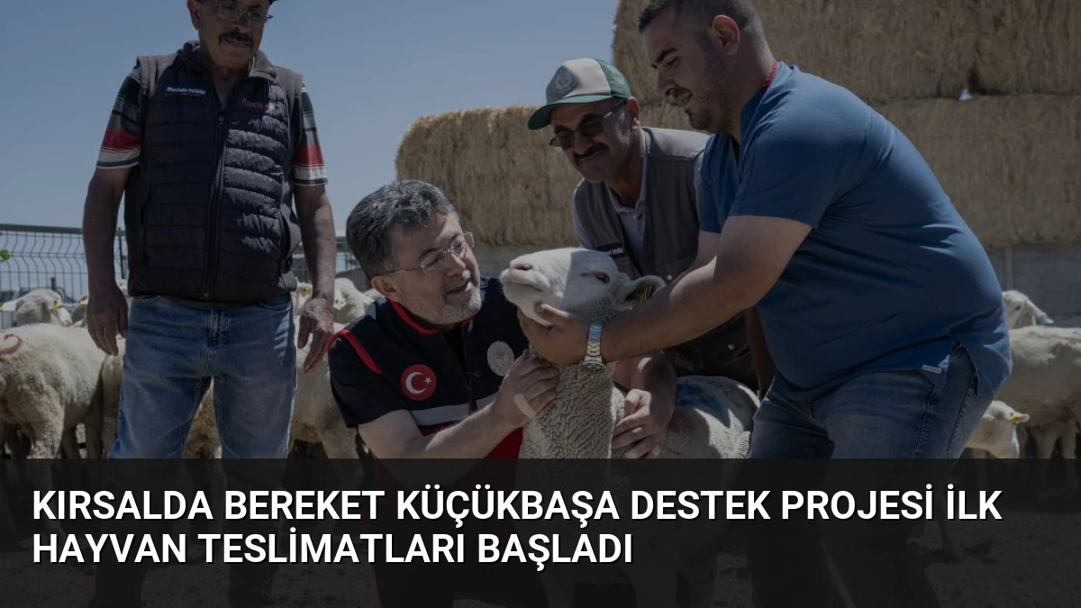 Kırsalda Bereket Küçükbaşa Destek Projesi İlk Hayvan Teslimatları Başladı