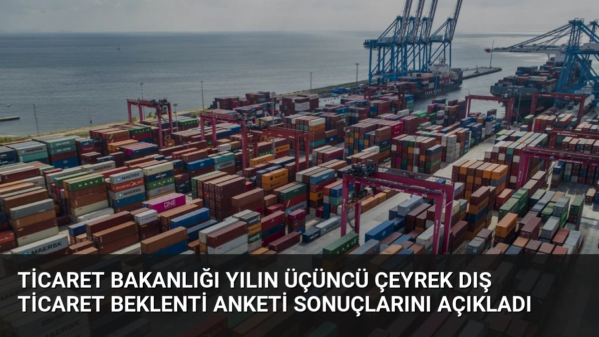 Ticaret Bakanlığı Yılın Üçüncü Çeyrek Dış Ticaret Beklenti Anketi Sonuçlarını Açıkladı