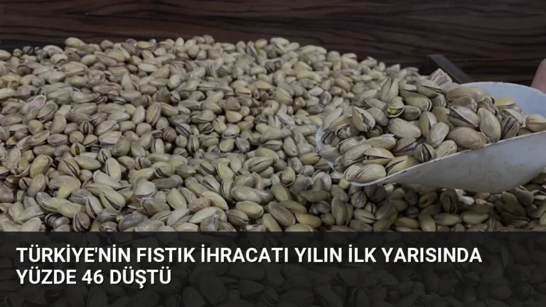 Türkiye’nin Fıstık İhracatı Yılın İlk Yarısında Yüzde 46 Düştü