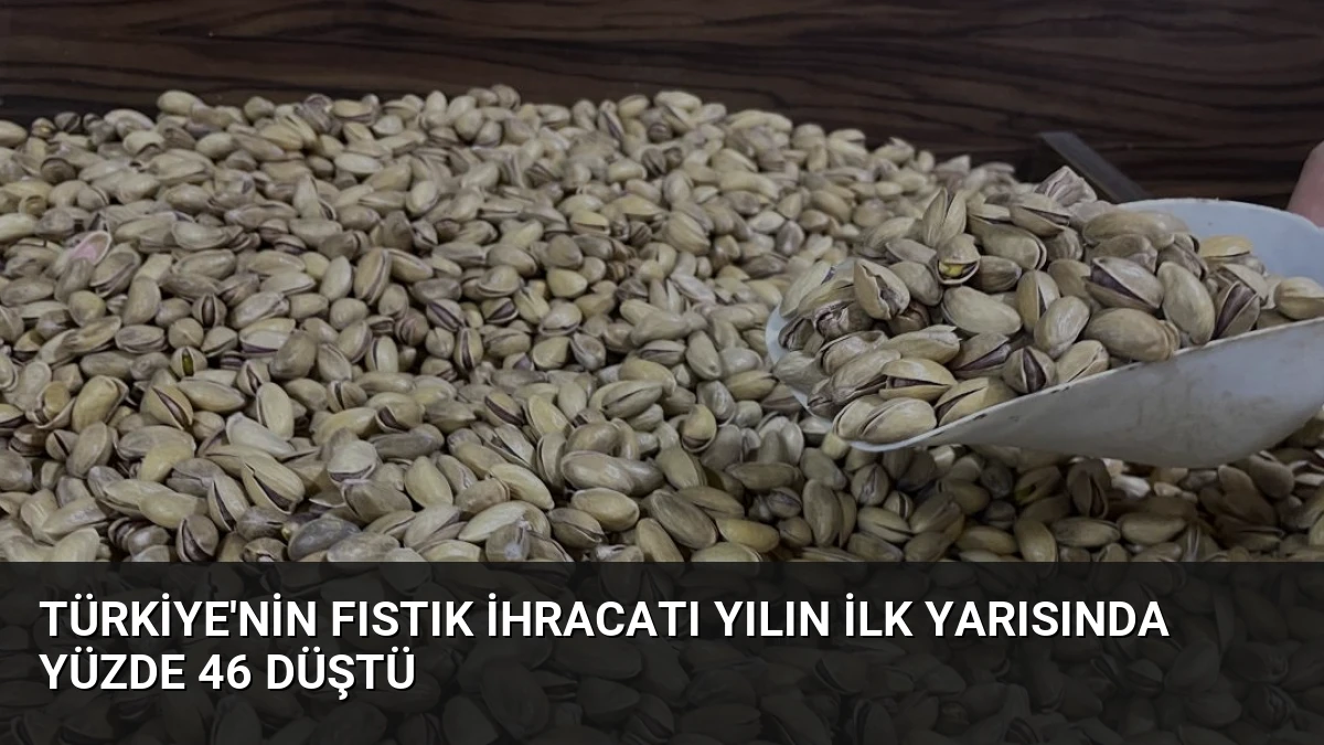 Türkiye’nin Fıstık İhracatı Yılın İlk Yarısında Yüzde 46 Düştü