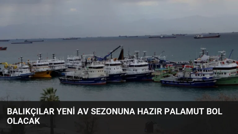 Balıkçılar Yeni Av Sezonuna Hazır Palamut Bol Olacak