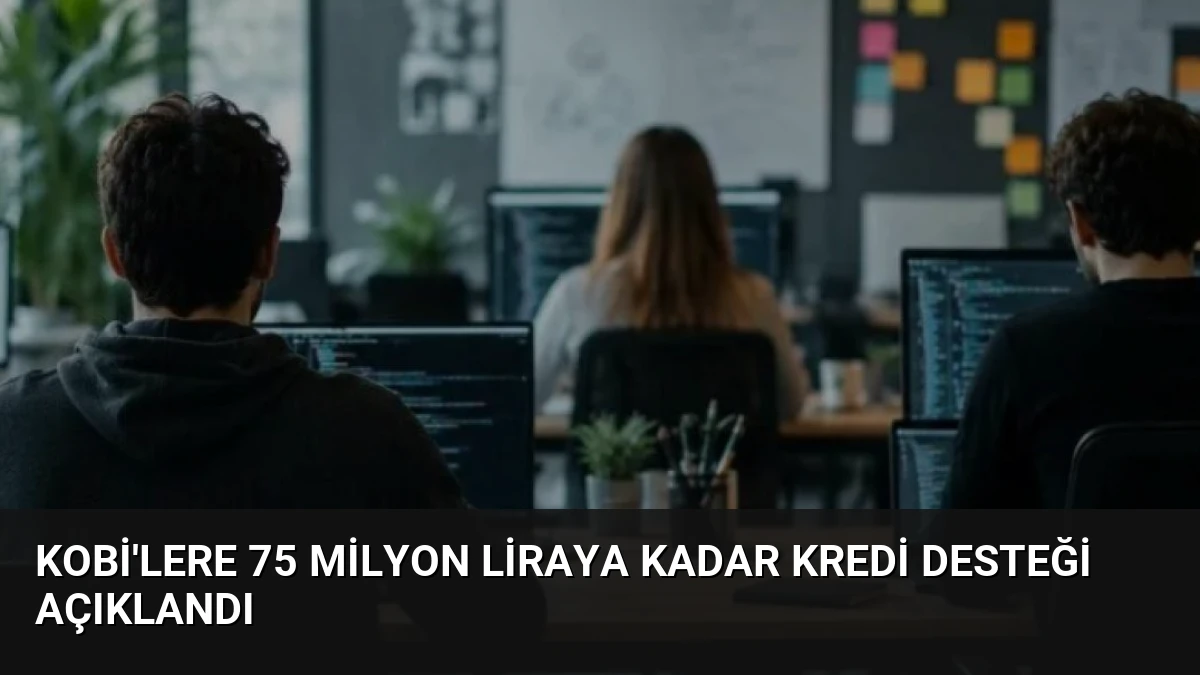 KOBİ’lere 75 Milyon Liraya Kadar Kredi Desteği Açıklandı