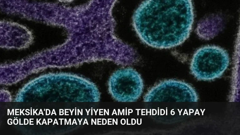 Meksika’da Beyin Yiyen Amip Tehdidi 6 Yapay Gölde Kapatmaya Neden Oldu