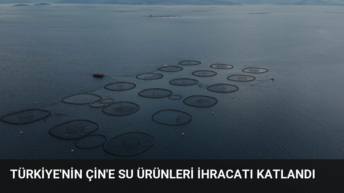 Türkiye’nin Çin’e Su Ürünleri İhracatı Katlandı